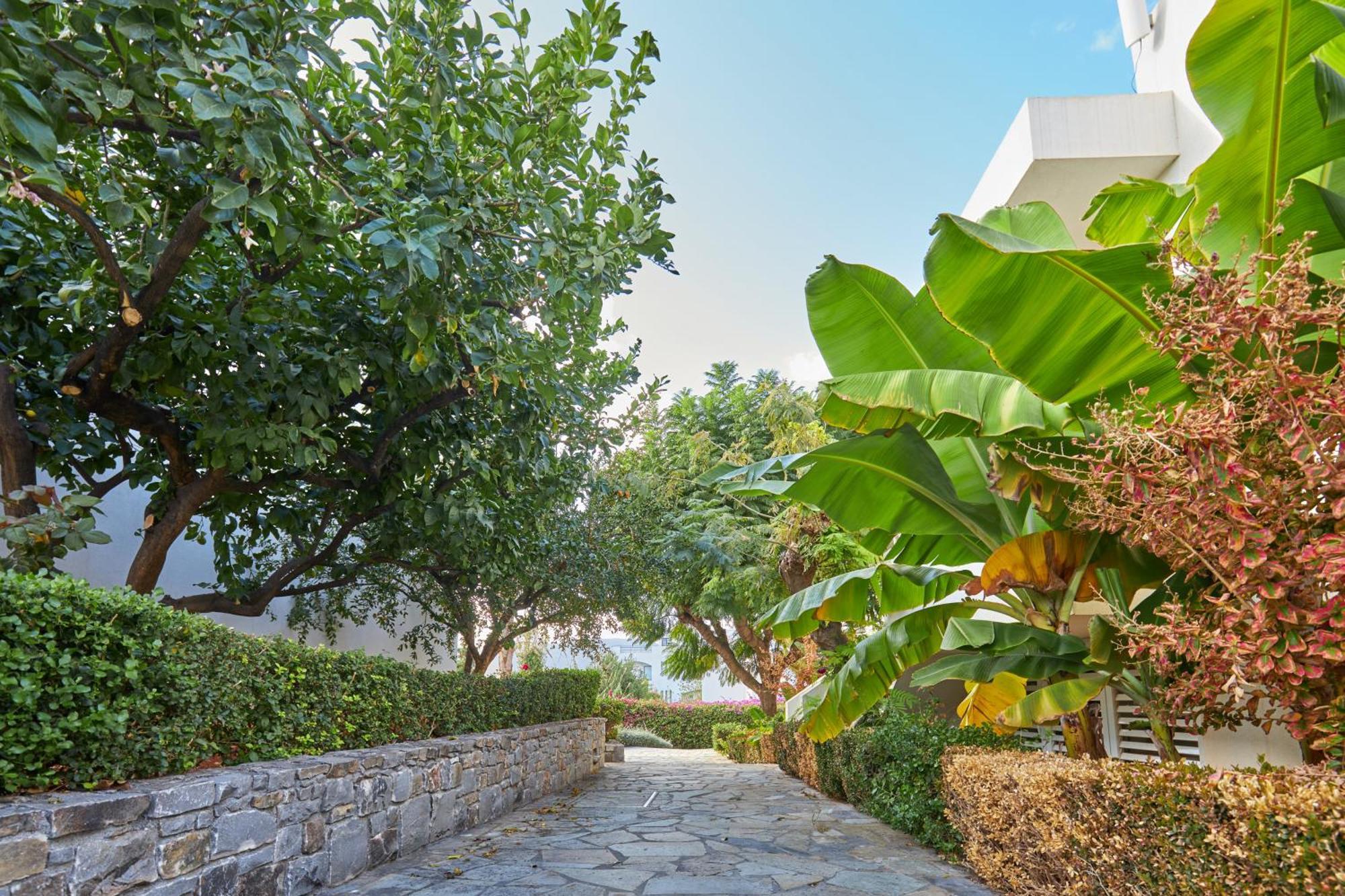 Kyknos Beach Hotel & Bungalows Malia Eksteriør bilde